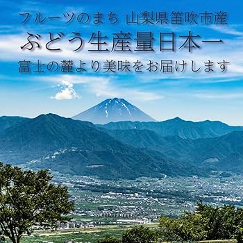 Amazon.co.jp: 約1.2kg（2〜3房）山梨県 笛吹市産 シャイン